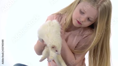 Little girl with long blonde hair is holding albinos ferret furo with red eyes at white background. Slow motion. Close up photo