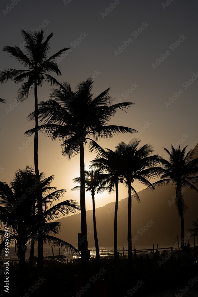 Palm trees during the sunset over Ipanema Beach in Rio de Janeiro Brazil