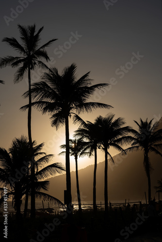Palm trees during the sunset over Ipanema Beach in Rio de Janeiro Brazil
