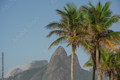 Palm trees on the beach of Rio de Janeiro with Dois Irmaos in the background