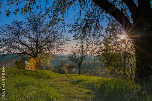 Sonnenuntergang über Kandern im Markräflerland auf dem Hässler bei einer Holzbiege HDR Wallpaper Südschwarzwald im Dreiländereck