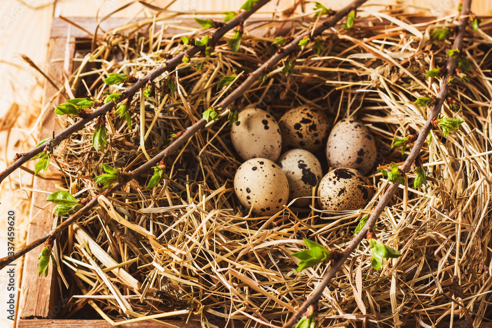 Easter composition. Cute painted quail easter eggs lie in a box on a hay on wooden table. Greeting card concept. Easter composition. Cute painted quail easter eggs lie in a box on a hay on wooden table. Greeting card concept.