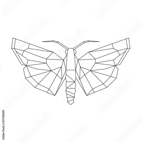 Abstract polygonal butterfly. Geometric linear butterfly