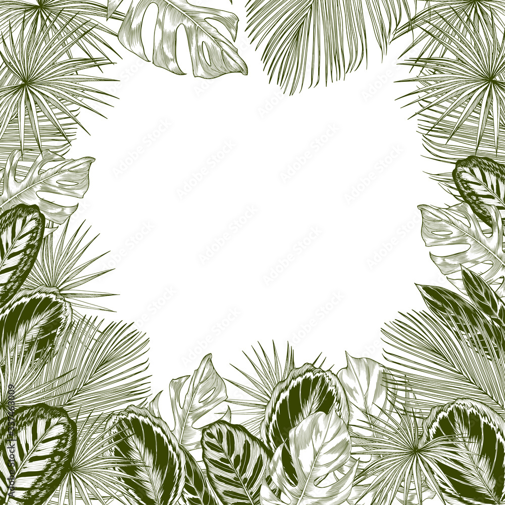 Green tropical leaves and branches. Green tropical leaves and branches.