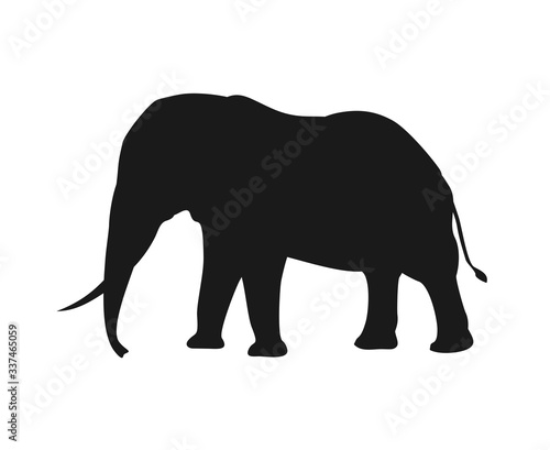 Creative design of big elephant illustration