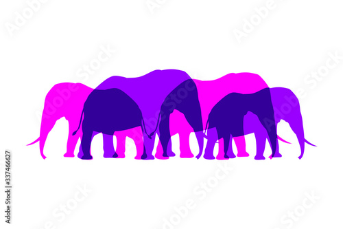 Canvas Print Creative design of elephants hers illustration