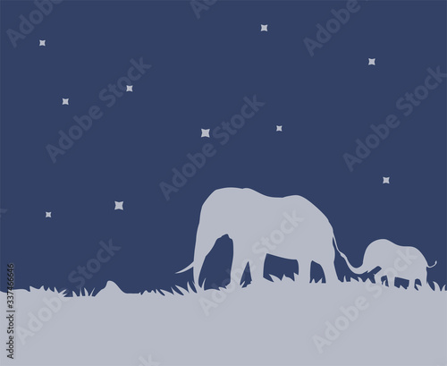 Photography Design of elephants walking in the night