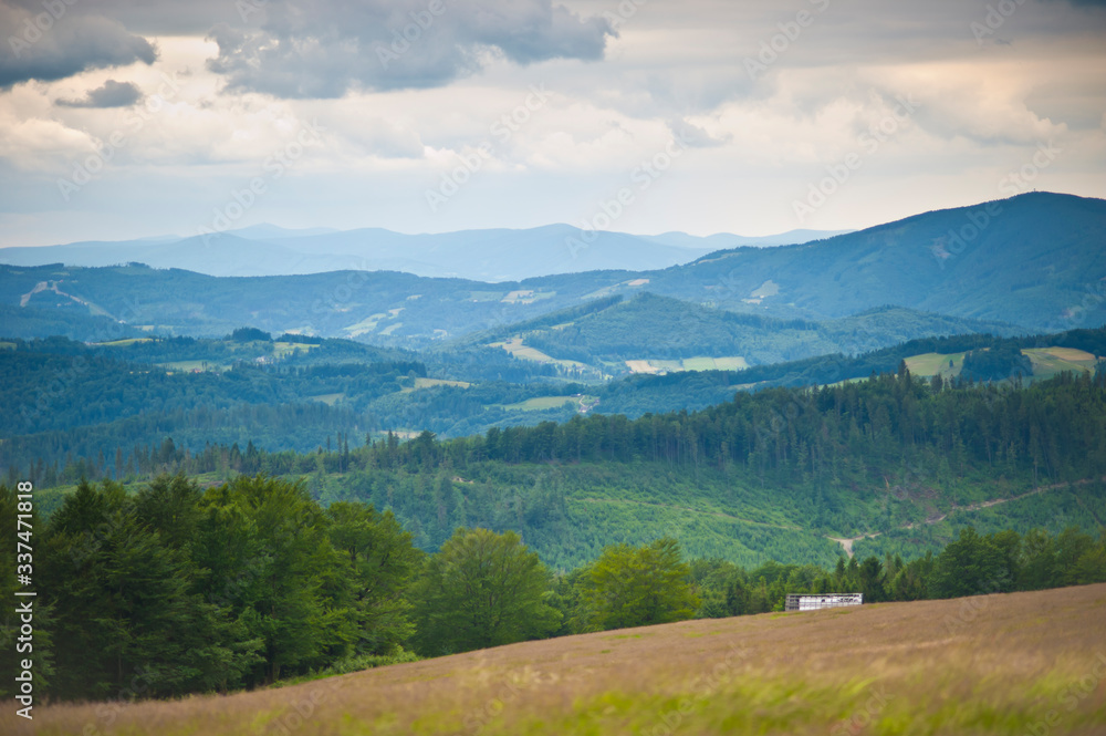 Pejzarz górski