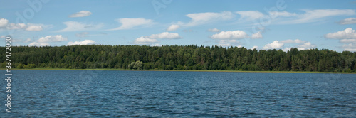 Coniferous and thick forest on the shore of a picturesque lake.