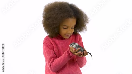Little african girl is holding large decorative gray rodent with a wool tail at white background. Slow motion photo