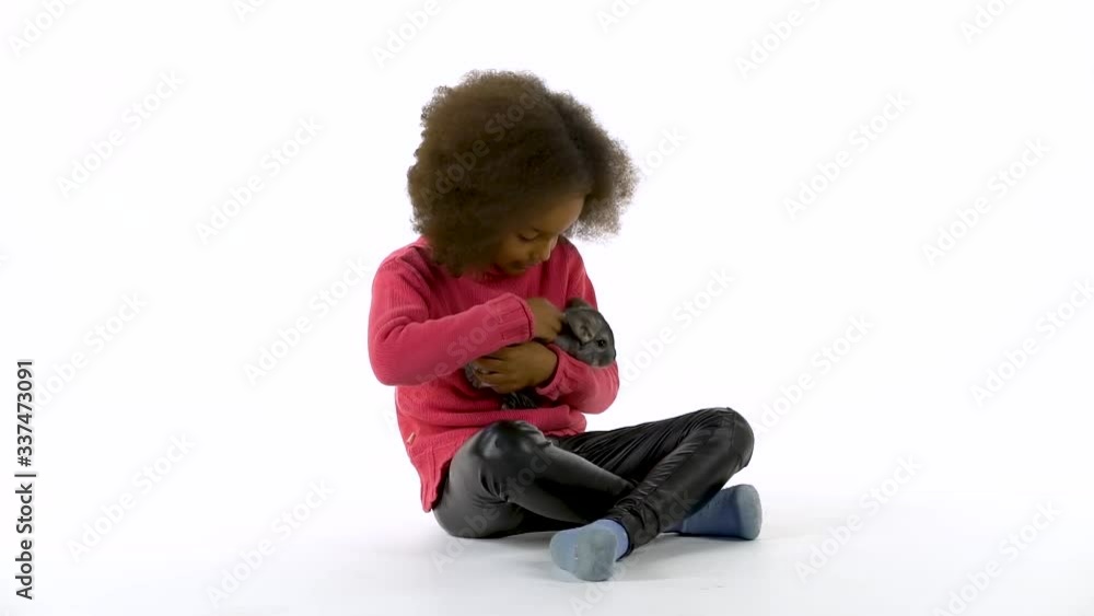 Little african curly girl is holding and stroking grey chinchilla at white background. Slow motion Little african curly girl is holding and stroking grey chinchilla at white background. Slow motion