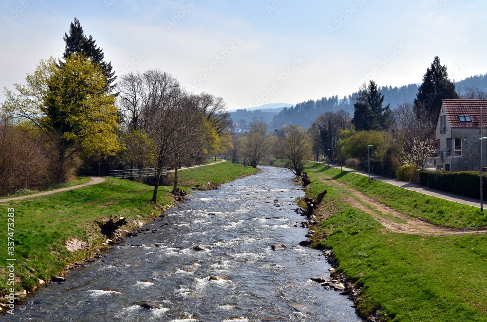 Dreisam in Freiburg-Ebnet