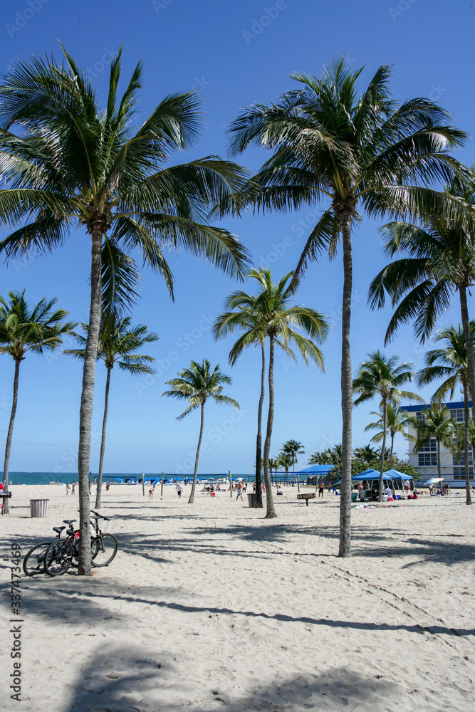 tropical beach with palm trees tropical beach with palm trees