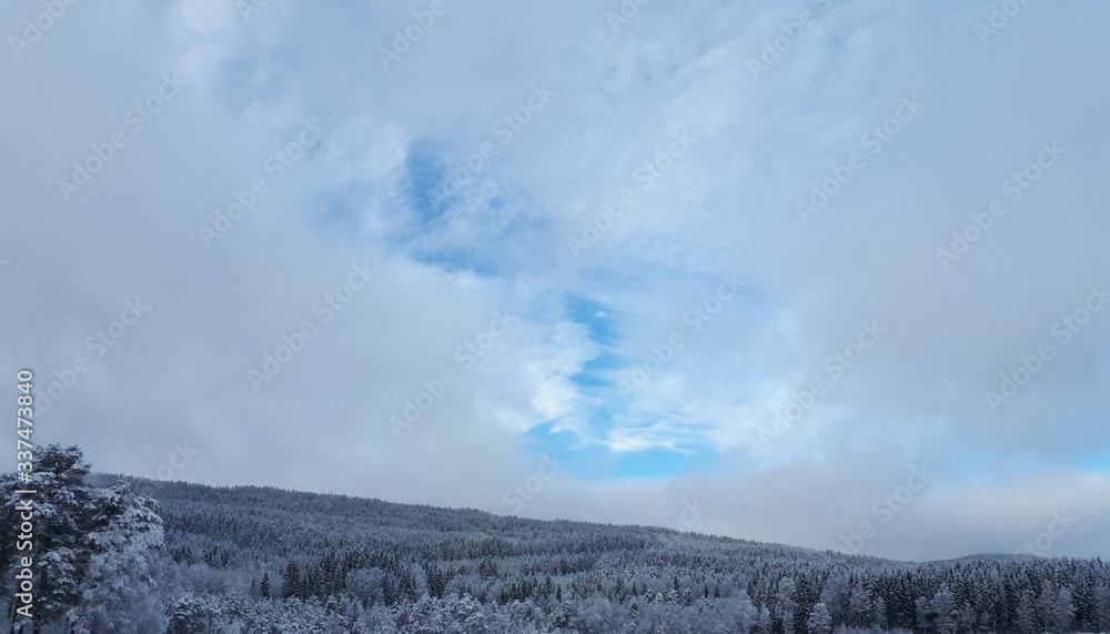 Calm sky over snowy trees - Oslo Calm sky over snowy trees - Oslo