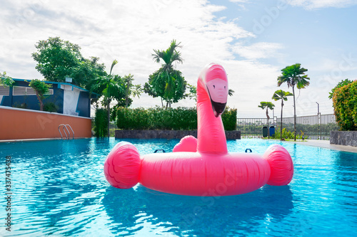 Flamingo float on swimming pool in daylight