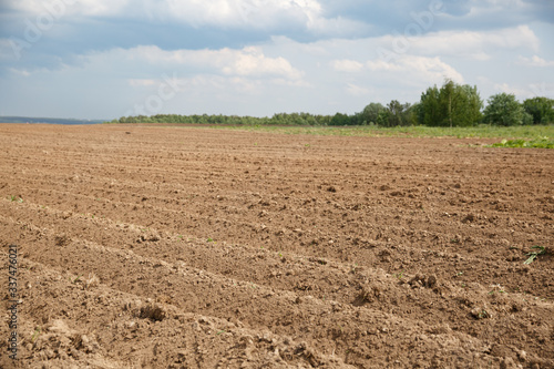 Closeup of the furrows of the recently plowed agricultural field against the background of green trees and a cloudy sky. Collective farmers waiting for the appearance of young sprouts of potatoes.