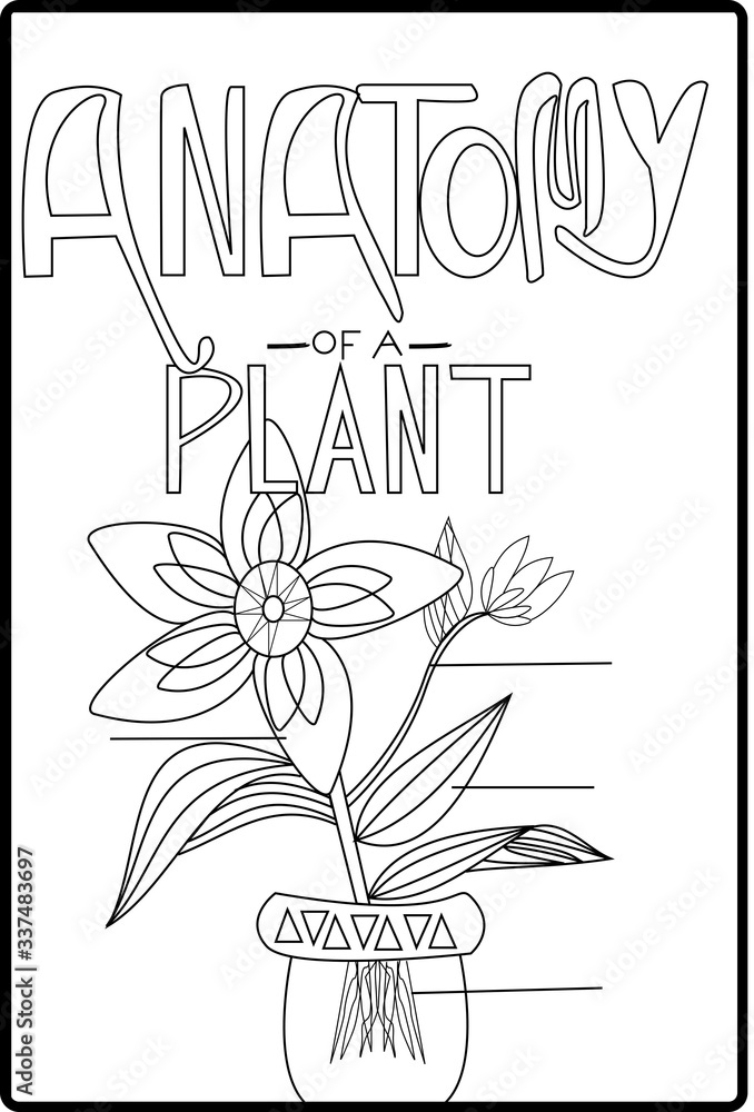 Naklejka premium hand drawn flowers, anatomy of a plant coloring book page