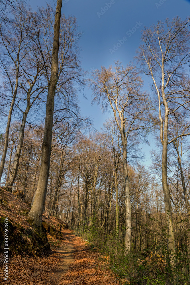 Trail Kehlen - Dondelingen