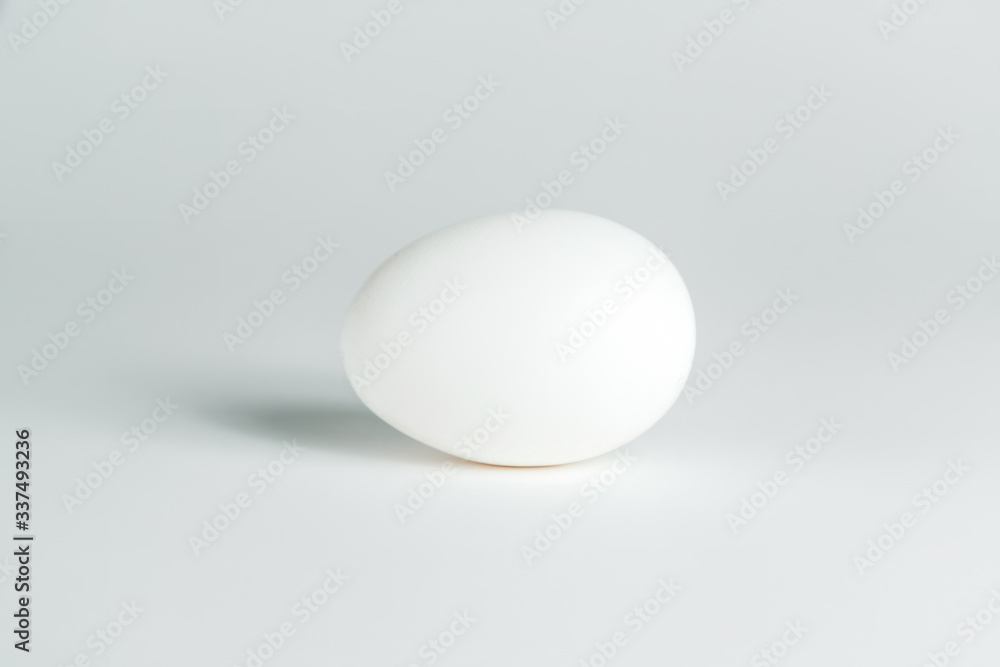 chicken egg on a white background chicken egg on a white background