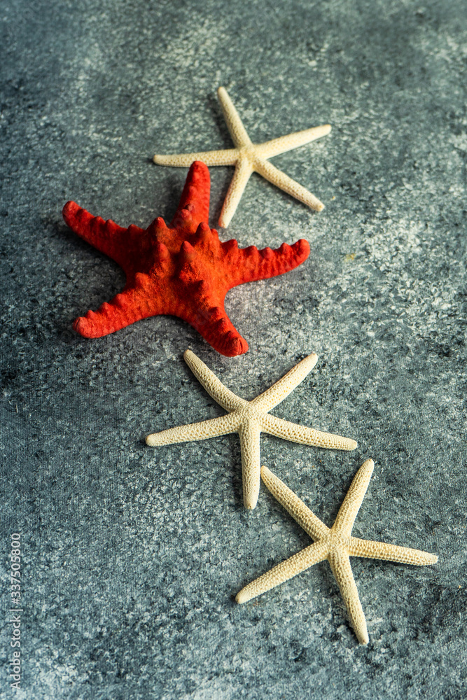 Summer concept with sea stars and shells Summer concept with sea stars and shells