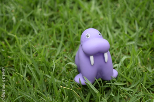 blue toy frog