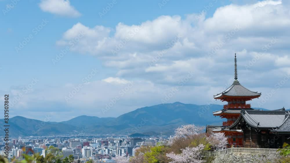 京都 タイムラプス 春 満開の桜 京都 タイムラプス 春 満開の桜