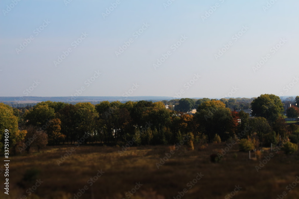Obraz premium autumn landscape with trees