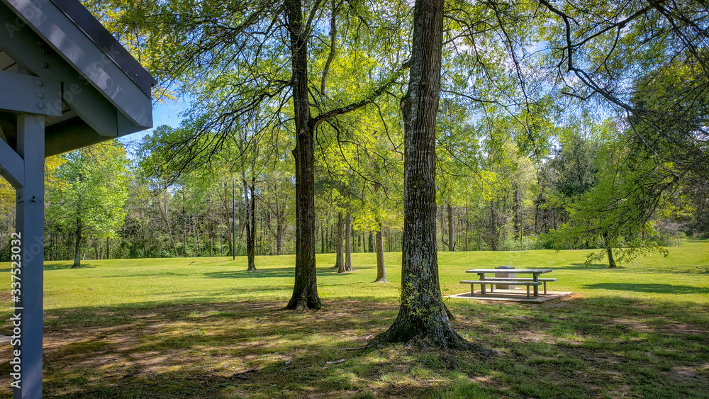 Obraz premium bench in the park