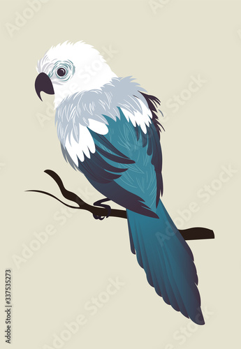 Vector illustration of bird - parrot. Flat style design.ai