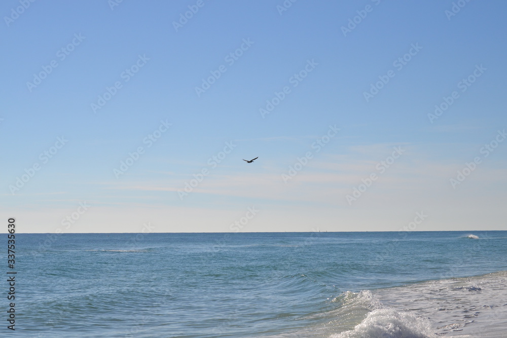 Random bird flying over the ocean