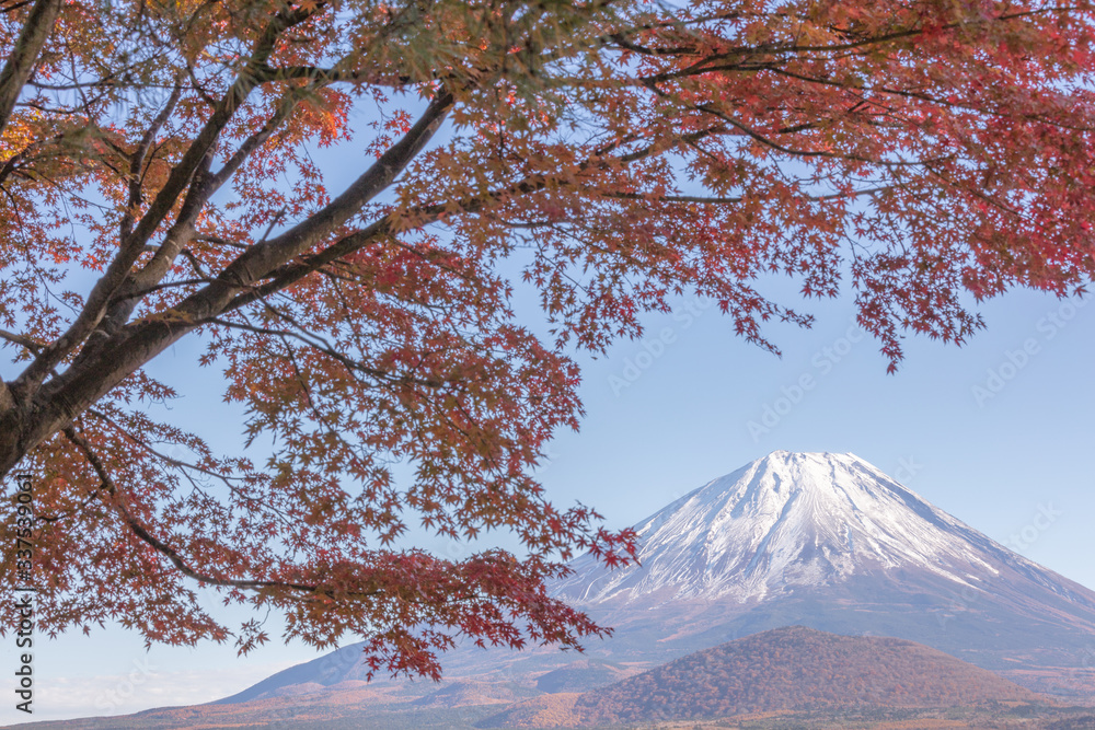 山梨県 精進湖 富士山 紅葉 山梨県 精進湖 富士山 紅葉