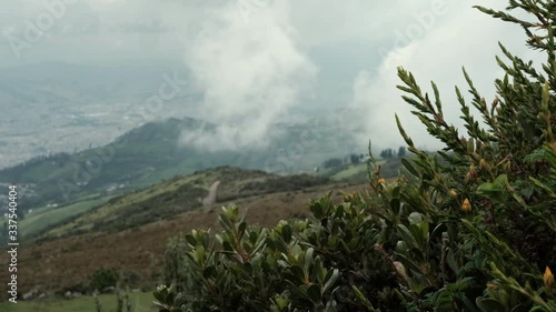 Green bush and Quito city panorama from top of mountain and cloudy day, Equador