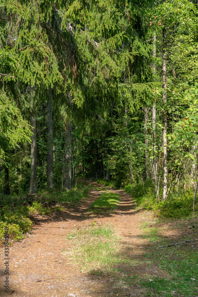 Obraz premium Ekenas, Vastra Uusimaa / Finlandia - lipiec 2019: