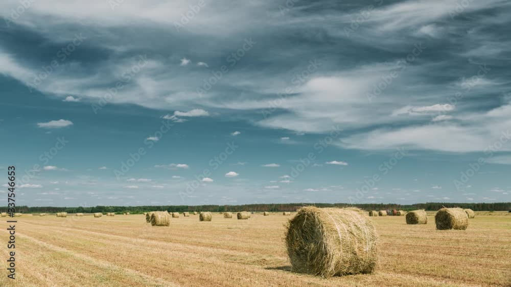 Set. Rural Landscape Field Meadow With Hay Bales After Harvest. Time Lapse, Timelapse, Time-lapse Set. Rural Landscape Field Meadow With Hay Bales After Harvest. Time Lapse, Timelapse, Time-lapse