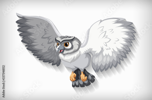 Gray owl flying on white background