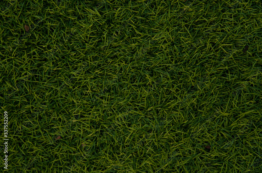 Close up of Grass Background Close up of Grass Background