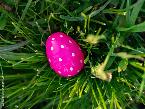 Lone pink polka dotted Easter egg in grass on a sunny day