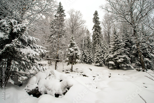snow-covered coniferous forests of Taganay national natural Park