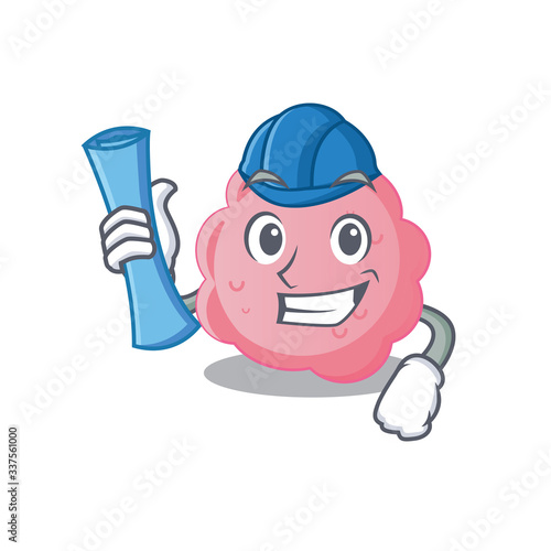 Cartoon character of anaplasma phagocytophilum brainy Architect with blue prints and blue helmet