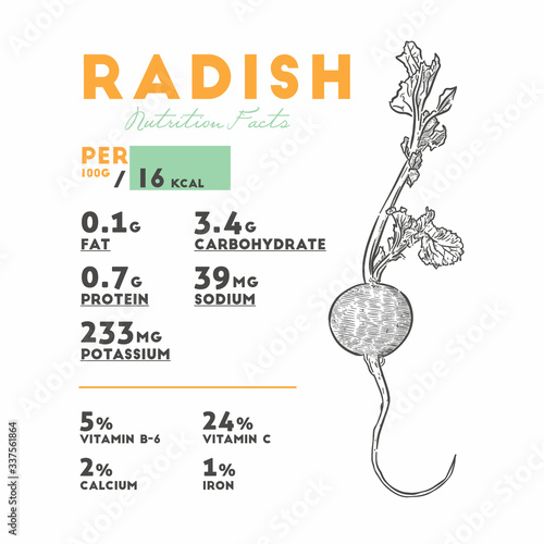 Nutrition facts of radish, hand draw sketch vector.