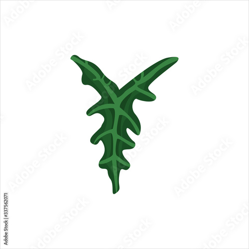 Botanical leaf clip art natural illustration