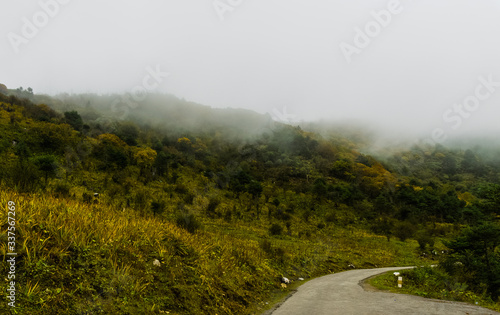 chele la pass over view to Paro town in bhutan