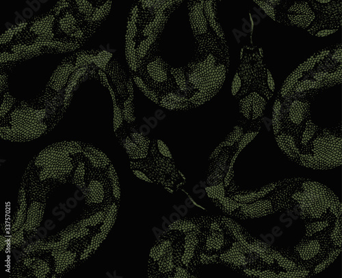 Snake skin on green background 