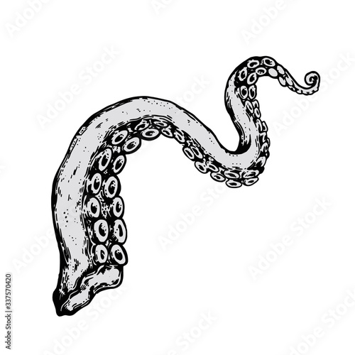 Tentacles on white background