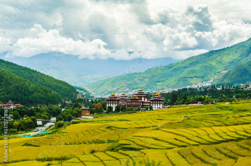 beautiful paddy fields during october neaar harvest