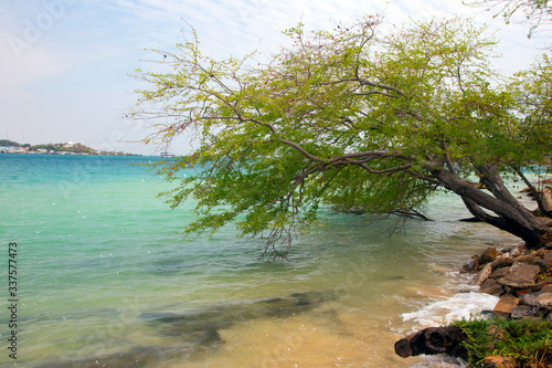 Fototapeta Naklejka Na Ścianę i Meble -  Thailand nature landscape. Tourism background with sea beach. Holiday journey destination