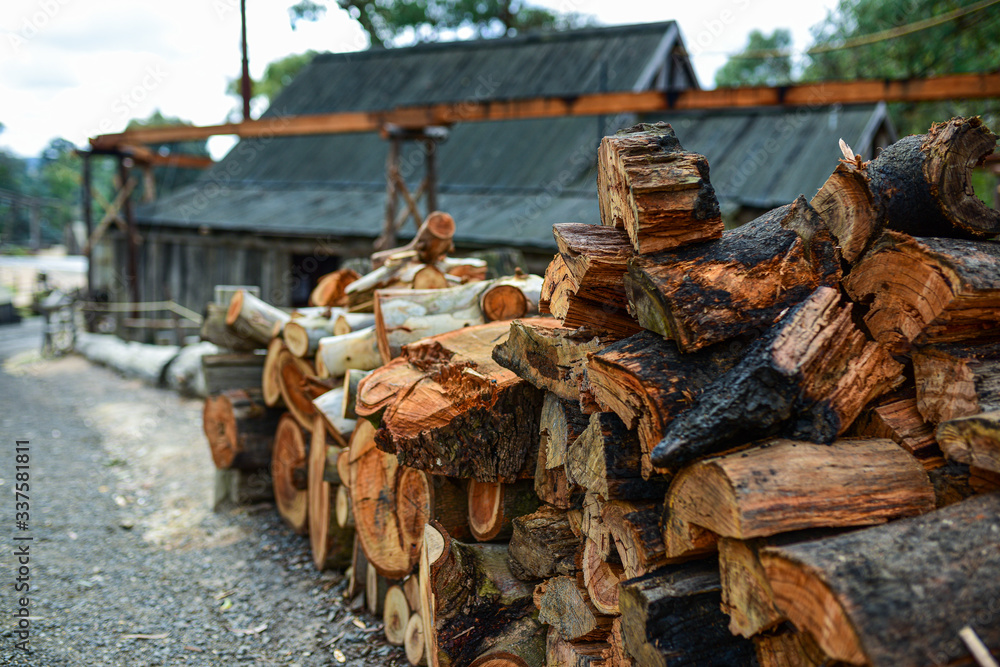 Trees were cut and prepared for firewood to provide warmth during the cold season. Trees were cut and prepared for firewood to provide warmth during the cold season.