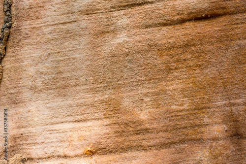 texture of old wood