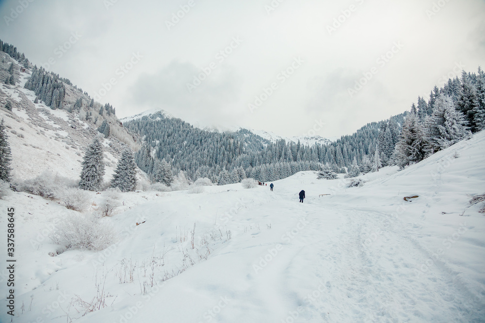 Back view of persons walking in beautiful winter mountain forest Back view of persons walking in beautiful winter mountain forest