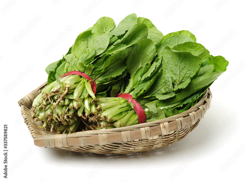 Small Chinese cabbage on white background Small Chinese cabbage on white background